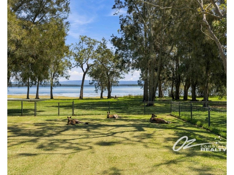 117 Walmer Avenue, Sanctuary Point NSW 2540