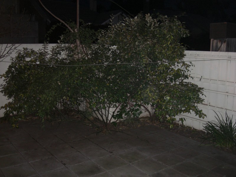 1/49 Osborne Street, South Yarra VIC 3141