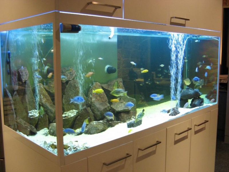 319 Highett Street, Richmond VIC 3121