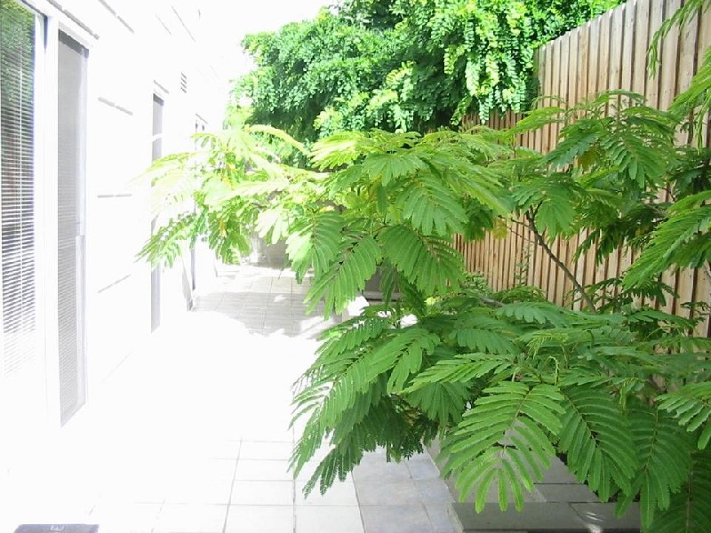 9/86 Burnley Street , Richmond VIC 3121