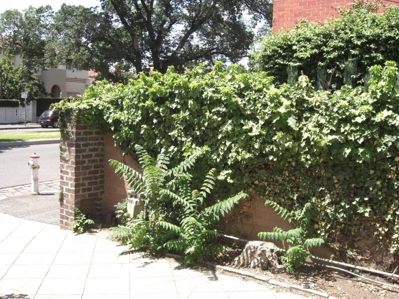 101 Simpson Street, East Melbourne VIC 3002