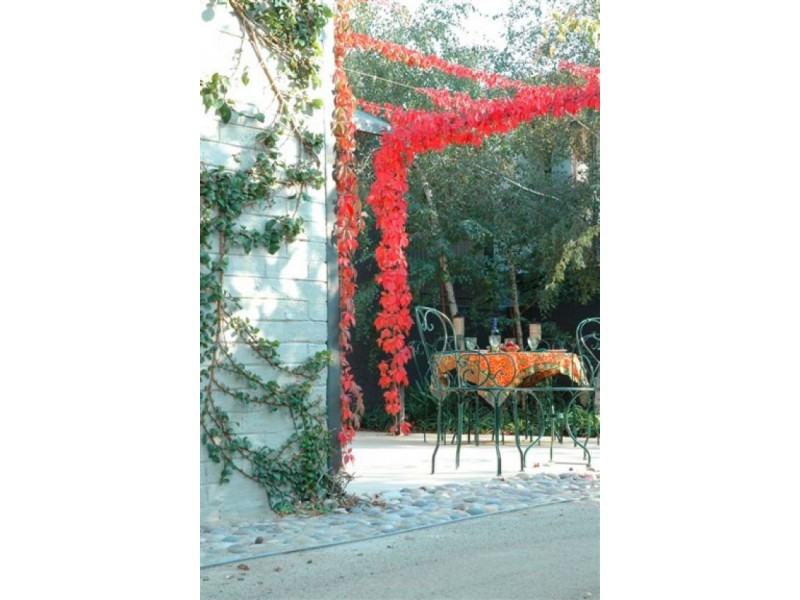 111 Caroline Street, South Yarra VIC 3141