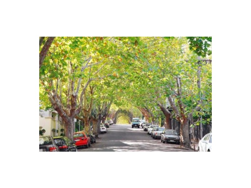 14/43 Caroline Street, South Yarra VIC 3141