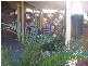 Mount Warren Park QLD 4207