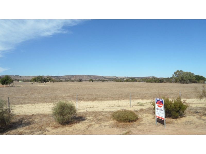 91 350 David Road, Waggrakine WA 6530