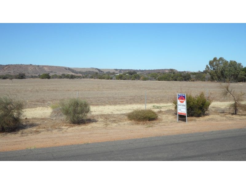 91 350 David Road, Waggrakine WA 6530