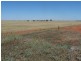 3810 Balla-Whelarra Road, Binnu WA 6532