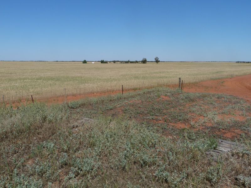 3810 Balla-Whelarra Road, Binnu WA 6532