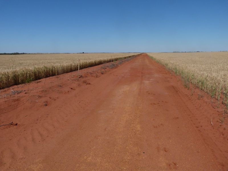 3810 Balla-Whelarra Road, Binnu WA 6532