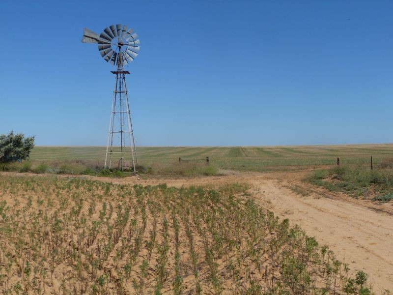 3810 Balla-Whelarra Road, Binnu WA 6532