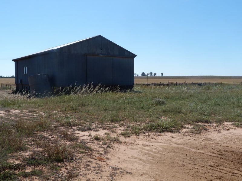 3810 Balla-Whelarra Road, Binnu WA 6532