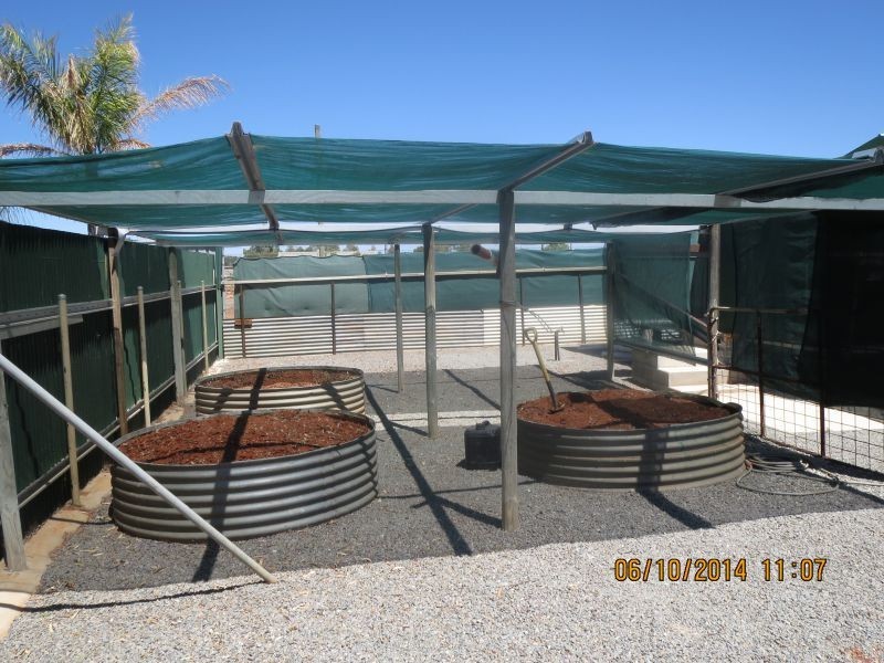 41 Dowley Street, Cue WA 6640