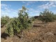 218 BUNTER WAY, Howatharra WA 6532