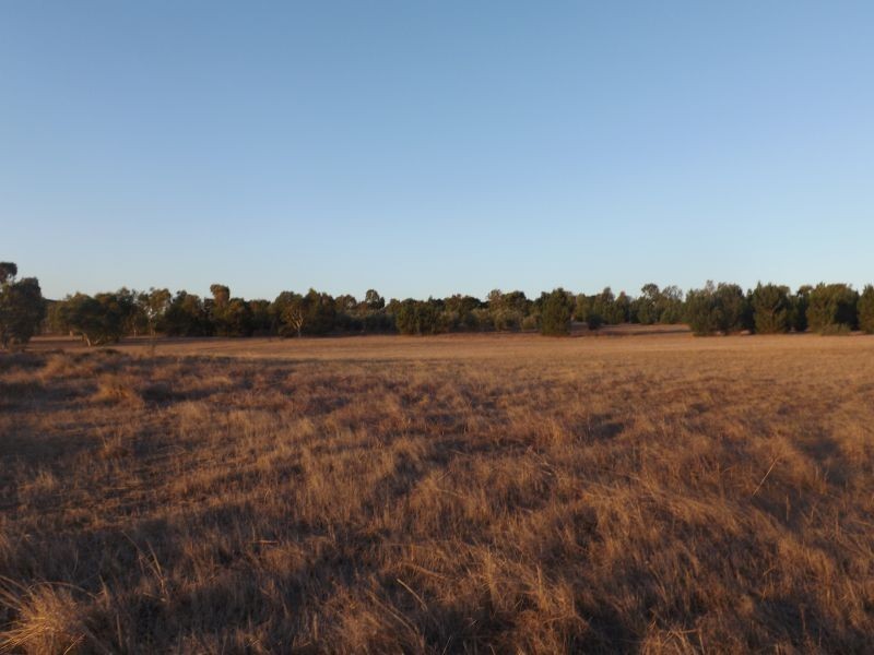 218 BUNTER WAY, Howatharra WA 6532