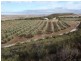 218 BUNTER WAY, Howatharra WA 6532