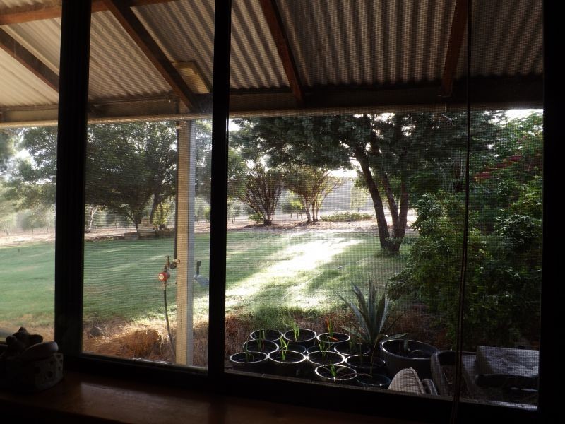 218 BUNTER WAY, Howatharra WA 6532