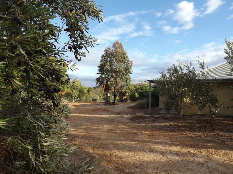 218 BUNTER WAY, Howatharra WA 6532