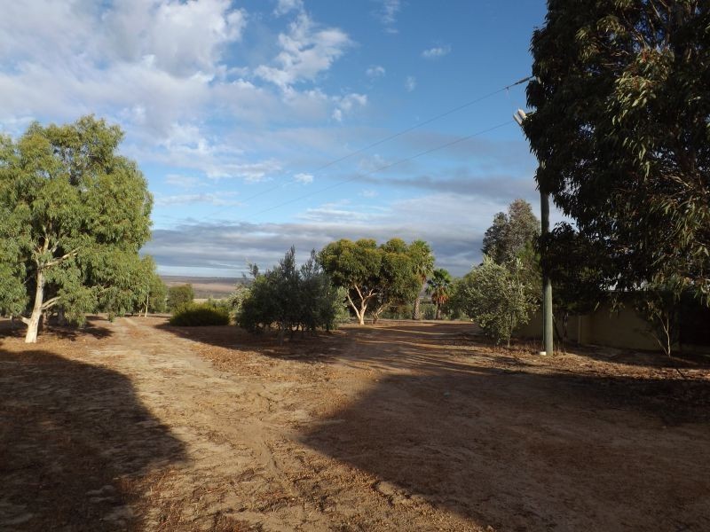 218 BUNTER WAY, Howatharra WA 6532