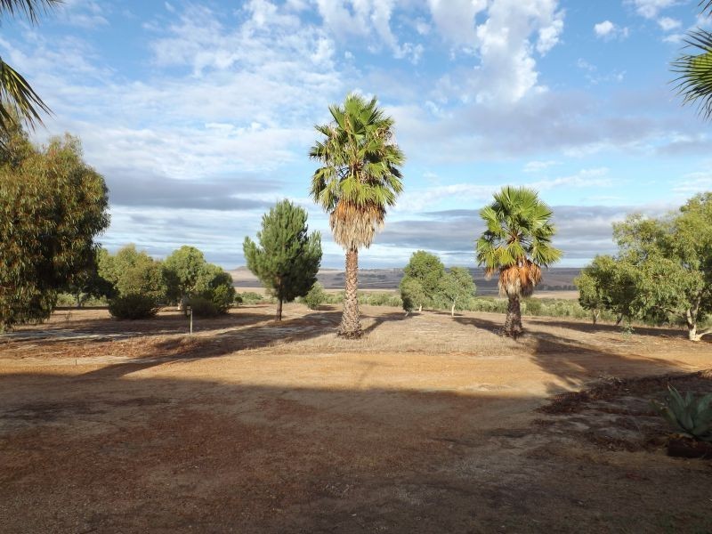 218 BUNTER WAY, Howatharra WA 6532