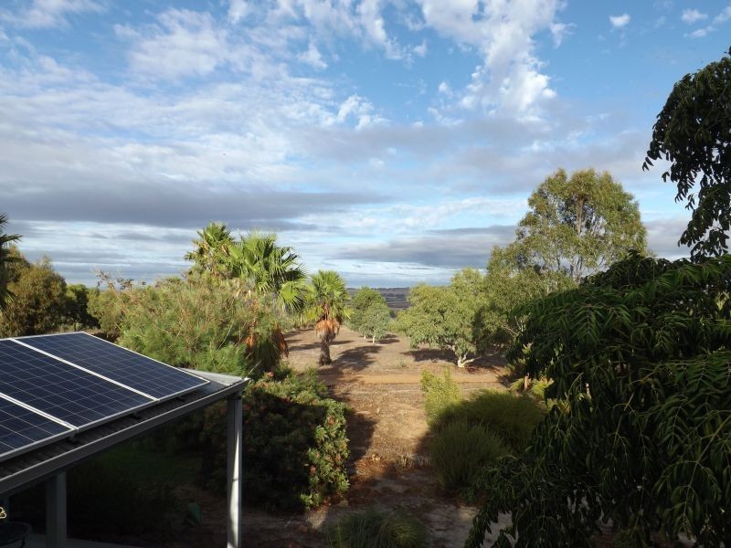218 BUNTER WAY, Howatharra WA 6532