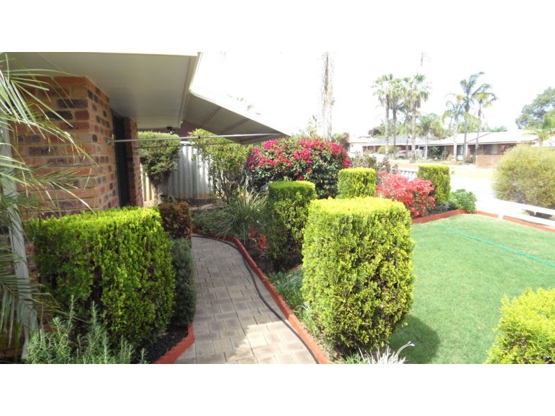 48 SOLOMON CIRCLE, KARLOO, Geraldton WA 6530