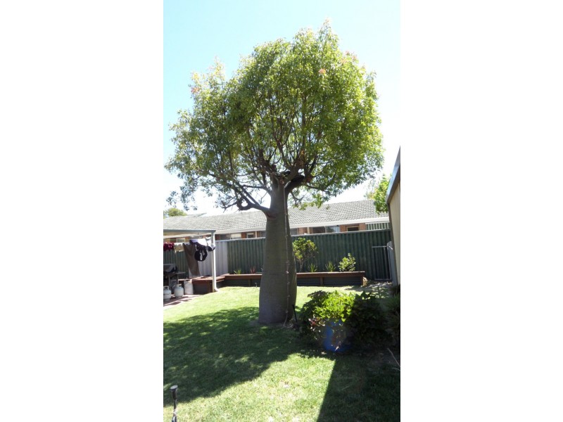 6 HEATON WAY, Safety Bay WA 6169