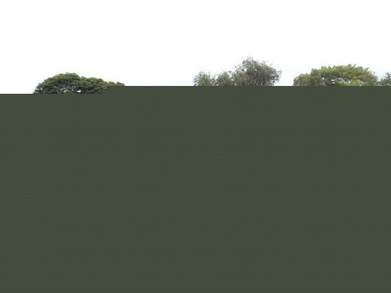 CENTRAL AVENUE, Wonthella WA 6530