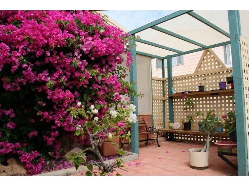 27 FRY COURT, Denham WA 6537