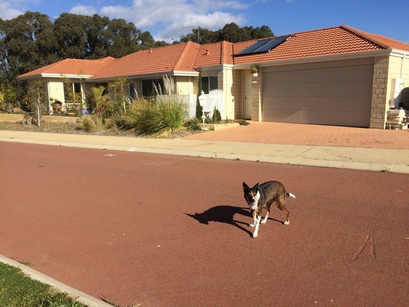 34 PRESTON DRIVE, Munster WA 6166