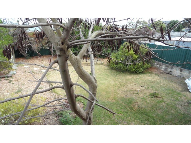 26 STUDZOR STREET, Warnbro WA 6169