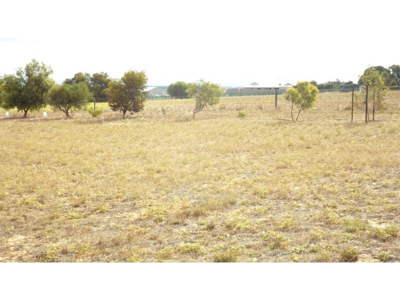 LOT136 ELIZA SHAW DRIVE, White Peak WA 6532