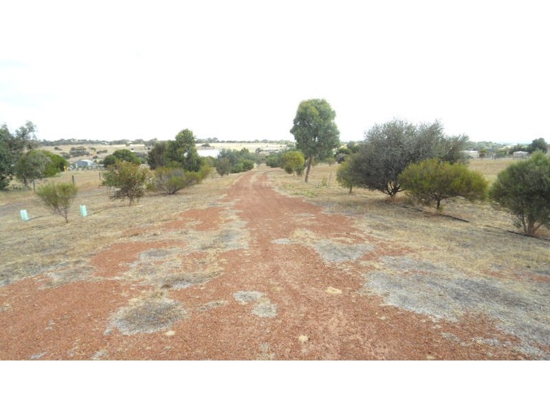 LOT136 ELIZA SHAW DRIVE, White Peak WA 6532