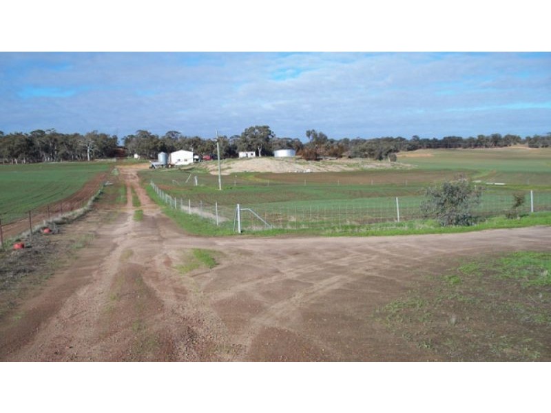 1665 North Bannister-Pingelly Road, West Pingelly WA 6308