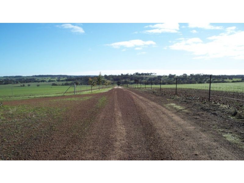 1665 North Bannister-Pingelly Road, West Pingelly WA 6308