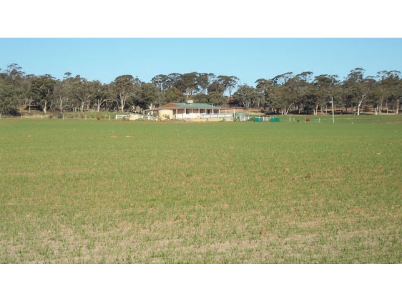 1665 North Bannister-Pingelly Road, West Pingelly WA 6308