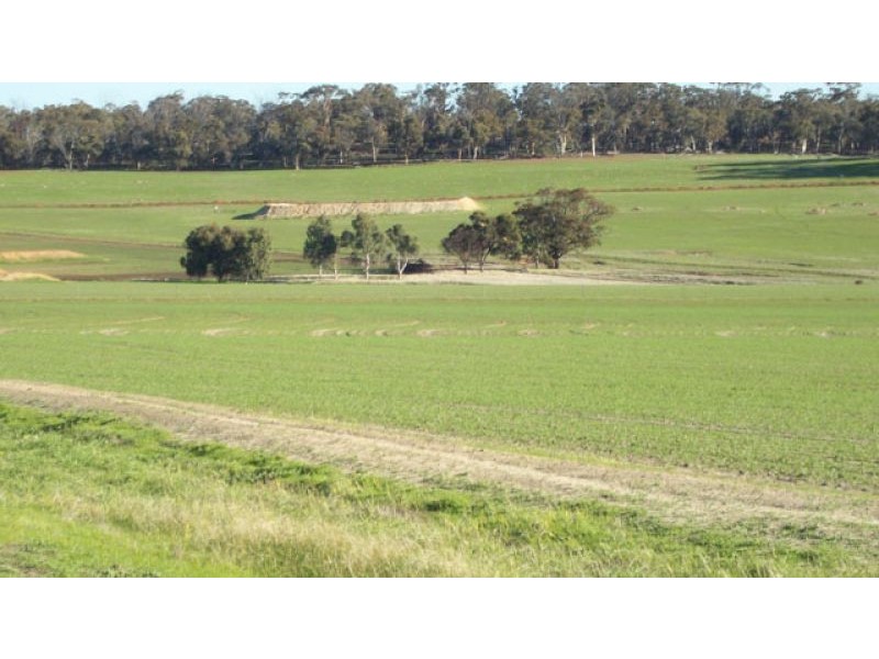 1665 North Bannister-Pingelly Road, West Pingelly WA 6308