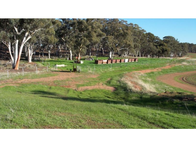 1665 North Bannister-Pingelly Road, West Pingelly WA 6308