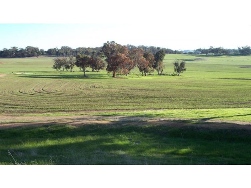 1665 North Bannister-Pingelly Road, West Pingelly WA 6308