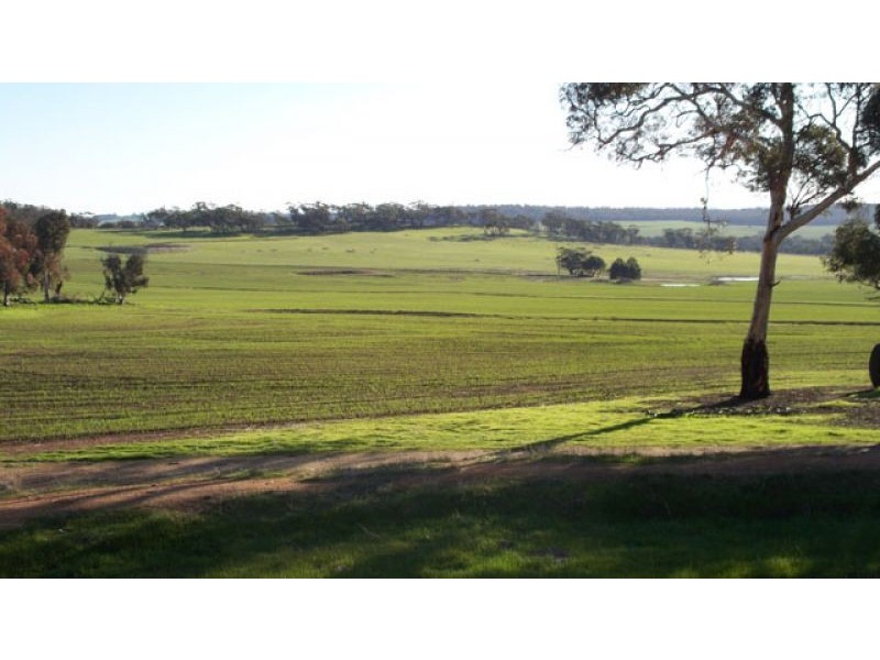 1665 North Bannister-Pingelly Road, West Pingelly WA 6308