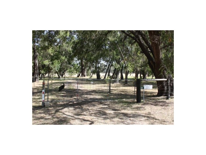 34 Treloar Road, Stirling Estate, Capel WA 6271