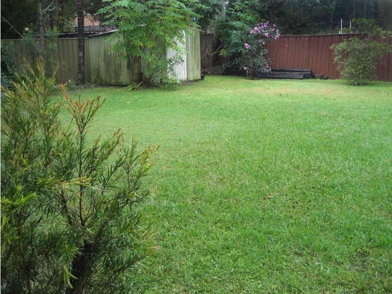 Springfield NSW 2250