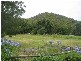 Narara NSW 2250