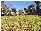 Springfield NSW 2250