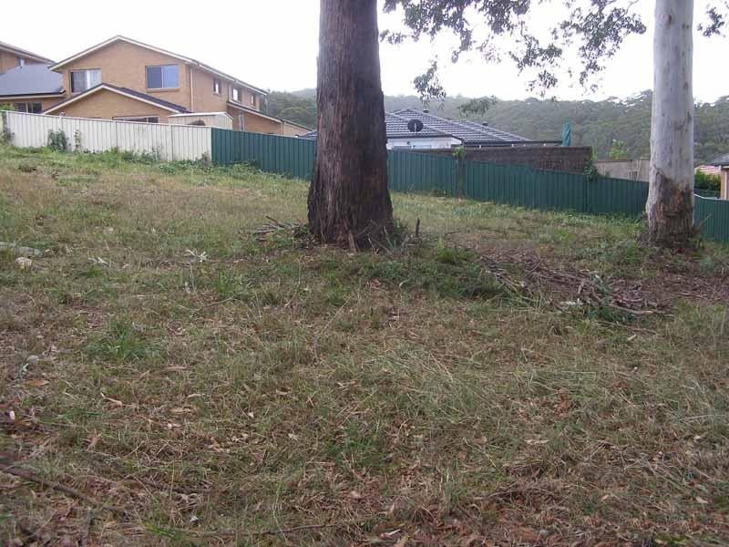 Springfield NSW 2250