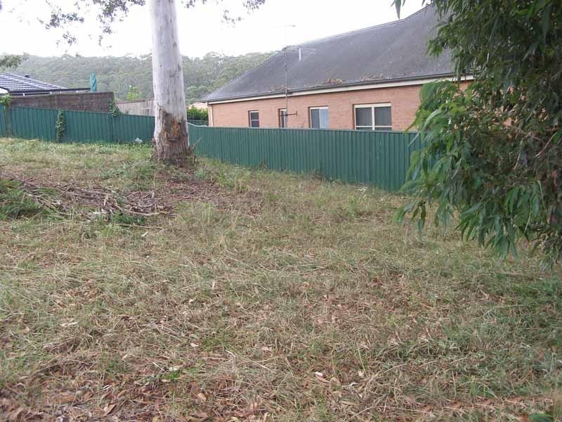 Springfield NSW 2250