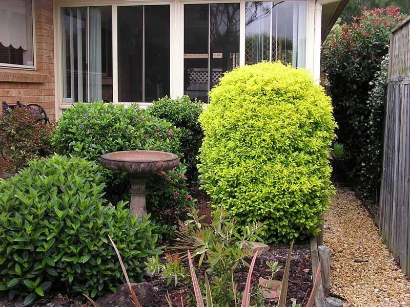 North Gosford NSW 2250