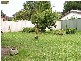 Ourimbah NSW 2258