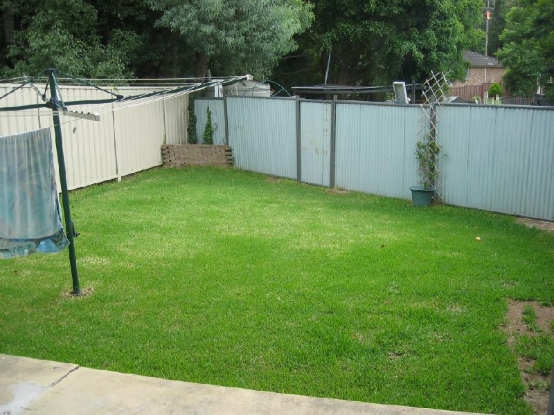 56 Day Street, Wyoming NSW 2250