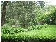 9 Hillgrove Close, Ourimbah NSW 2258