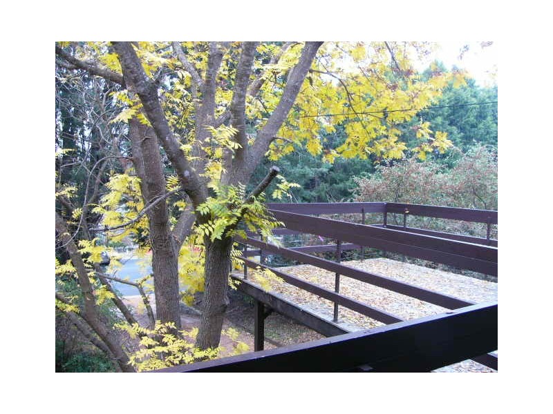 160 Kentucky Street, Armidale NSW 2350